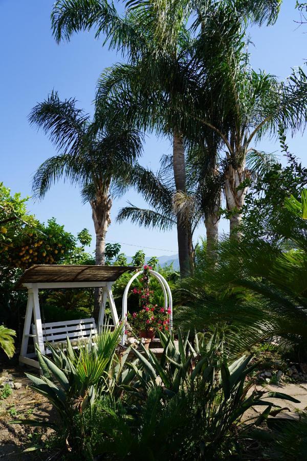 B&B Ciro Pompeia Exterior foto